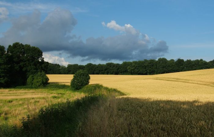 Naturschutzgebiet Höltigbaum und Tunneltal