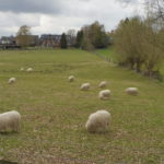 Historisch naturkundliche Radtour
